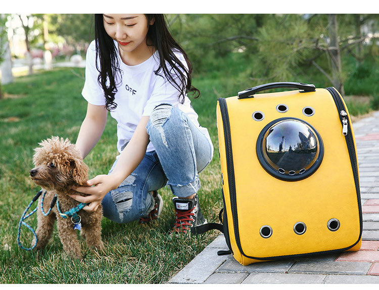 Pet Trolley Case PU Breathable Folding